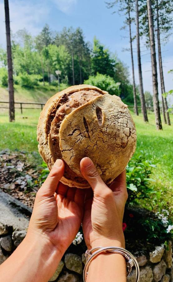 Garni Lago Nembia San Lorenzo Dorsino Esterno foto